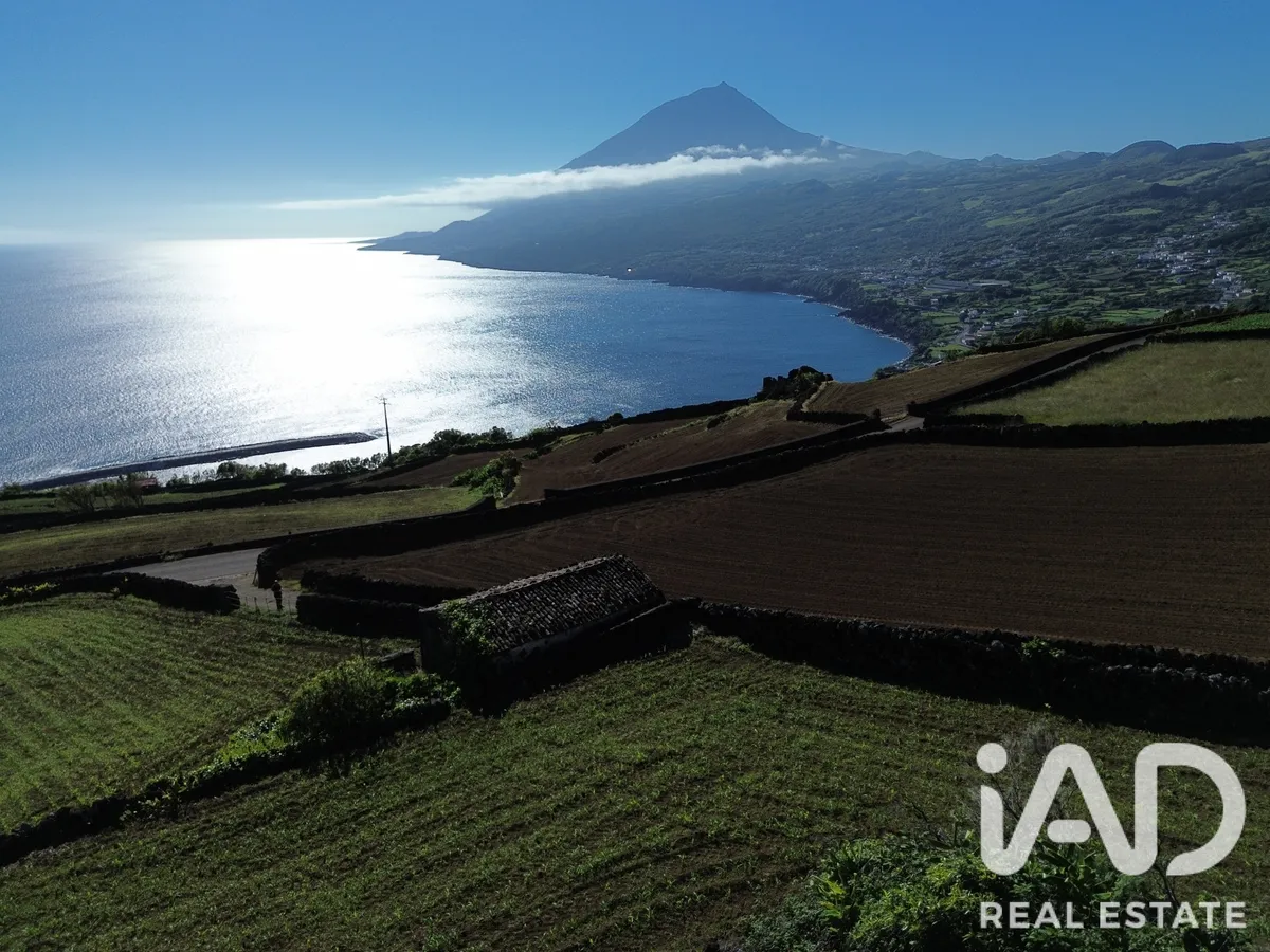 Terreno rústico de 4224 m² em Lajes do Pico
