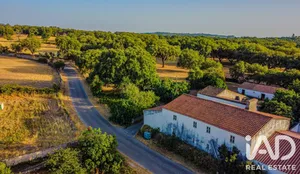 Farm  in São Salvador da Aramenha