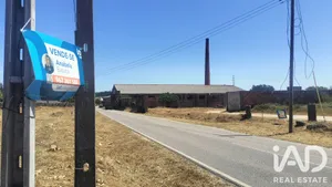 Terreno rústico  em Tondela