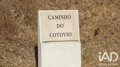 Terreno misto em Ferreiras