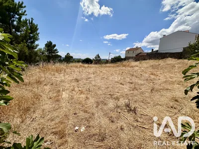Fotografia 5 de Terreno rústico de 1600 m² em Mangualde