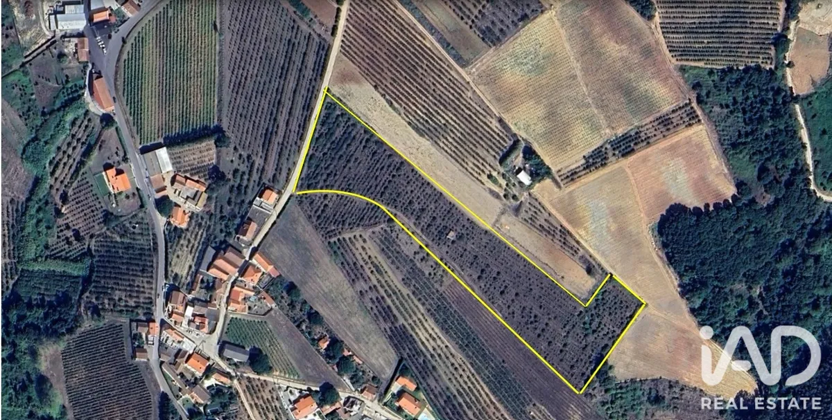 Terreno rústico de 18 960 m² em BarroLobo