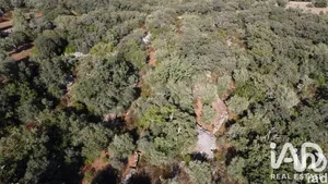 Farm land in Chãos