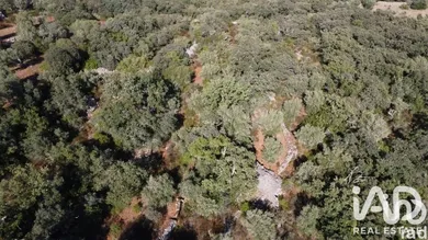 Farm land in Chãos