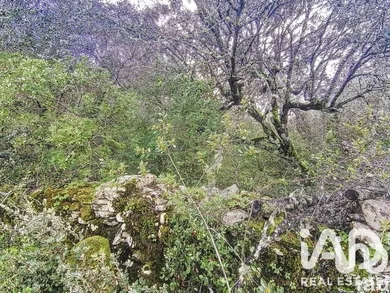 Farm land in Chãos