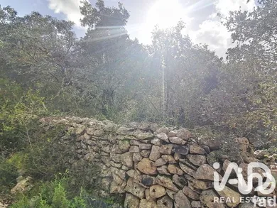 Farm land in Chãos