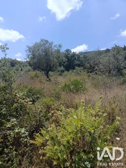Terrain agricole à Porto de Mós
