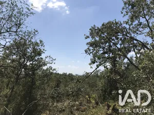 Farm land  in Chãos