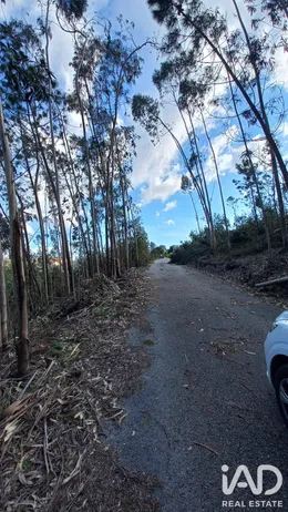 Terreno em Vila Cã