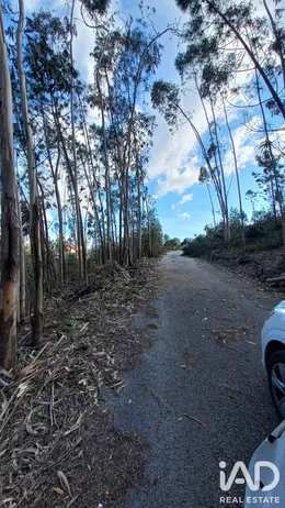 Terreno em Vila Cã