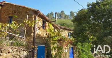 Rural farm in Figueiro dos Vinhos