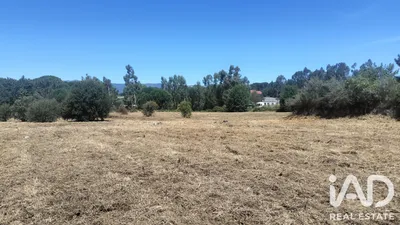 Fotografia 3 de Terreno urbano de 1800 m² em Tondela