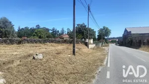 Terreno rústico  em Tondela 