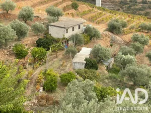 Quinta rural em Carlão