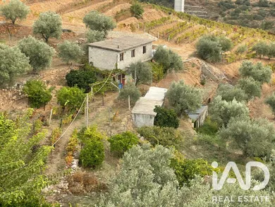 Quinta rural em Carlão