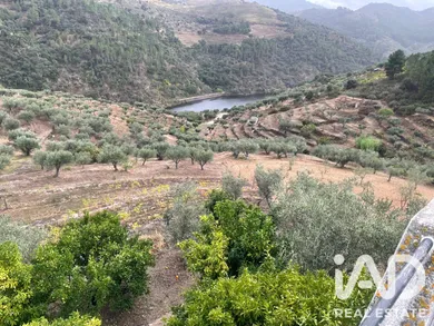 Quinta rural em Carlão