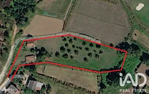 Quinta rural  em Fornelos