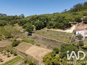 Quinta em Marmelete
