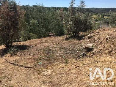Mixed land in Carvoeiro