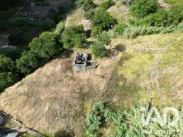 Terreno misto em Tábua