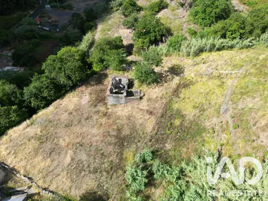 Terreno misto  em Tábua