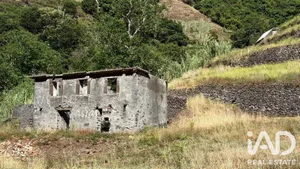 Terreno misto  em Tábua