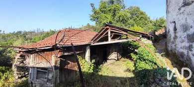 House in Mões