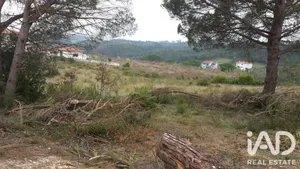 Terreno rústico em Coimbra