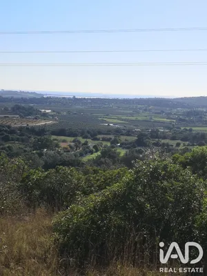 Terreno rústico  em Odiaxere