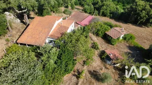 Farm land in Tábua