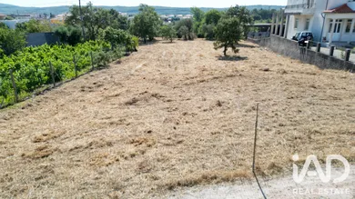 Terreno urbano em Avelar