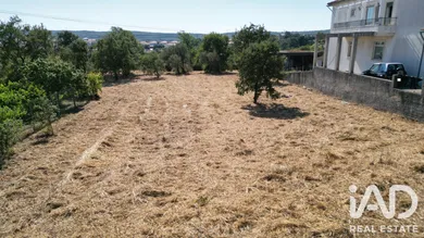 Terreno urbano em Avelar