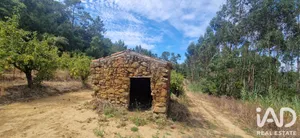 Terreno  em Sobral da Abelheira