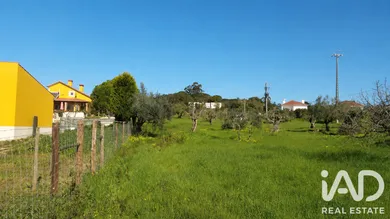 Terreno rústico  em Meia Via