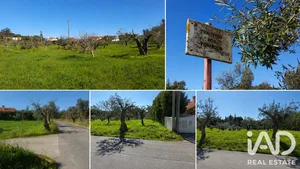 Terreno rústico em Meia Via