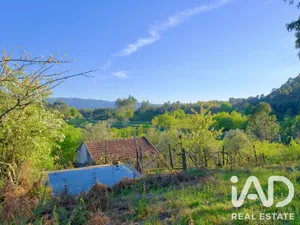 Farm in Carvalhais