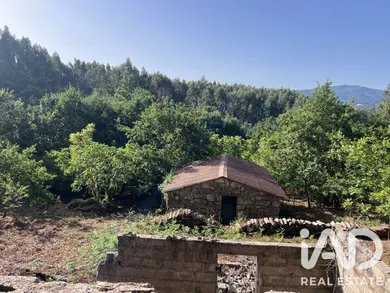 Quinta rural em Serrazes