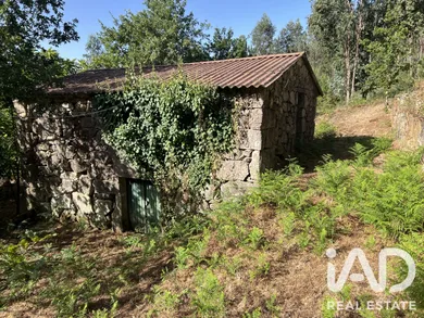 Quinta rural em Serrazes
