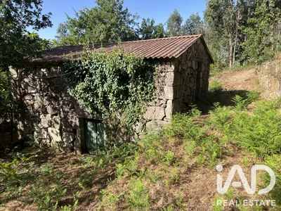Fotografia 3 de Quinta rural de 30 000 m² em Serrazes