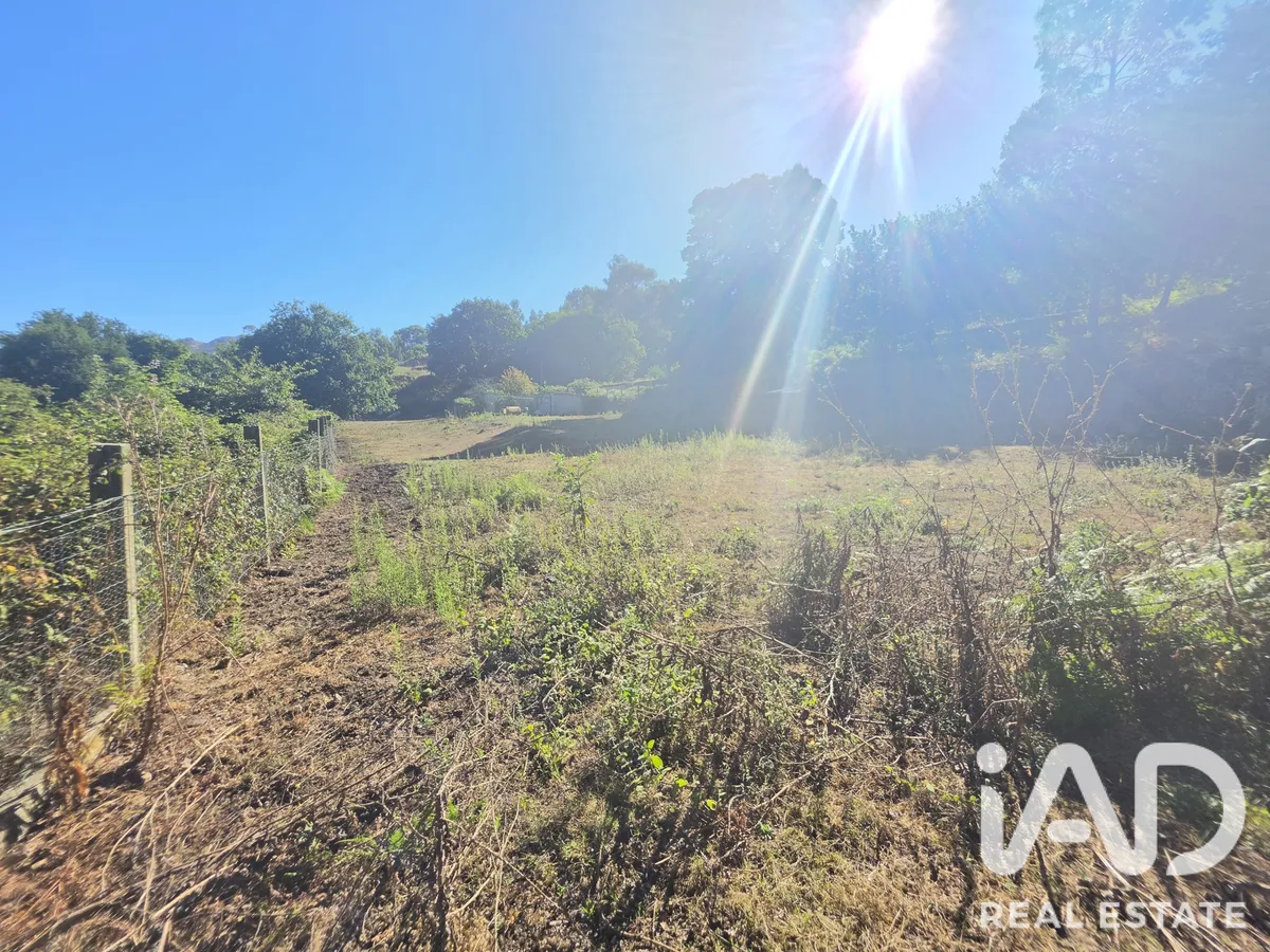 Terreno de 4000 m² em Loivo