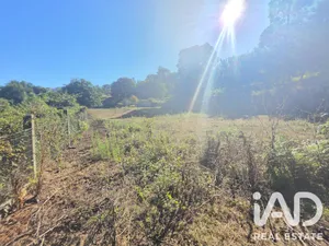 Terreno  em Loivo