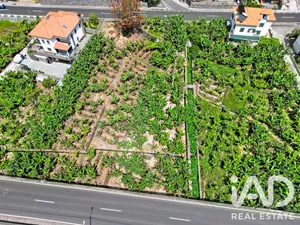 Land  in Ribeira Brava