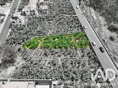 Land in Ribeira Brava