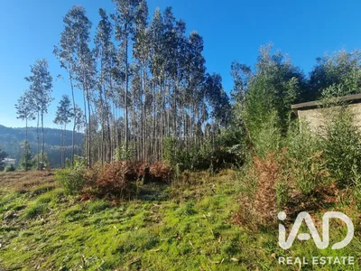 Fotografia 3 de Terreno rústico de 2150 m² em Mortágua
