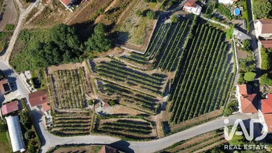 Building plot  in Figueiró
