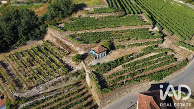 Building plot  in Figueiró