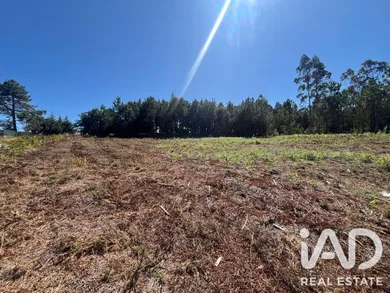 Terreno industrial em Antas