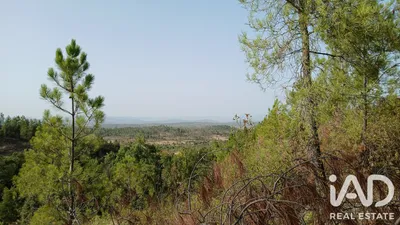 Fotografia 6 de Terreno urbano de 620 m² em Castelo Branco