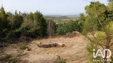 Farm land in Cabeço do Infante