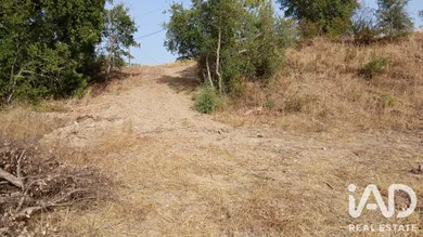 Farm land in Cabeço do Infante